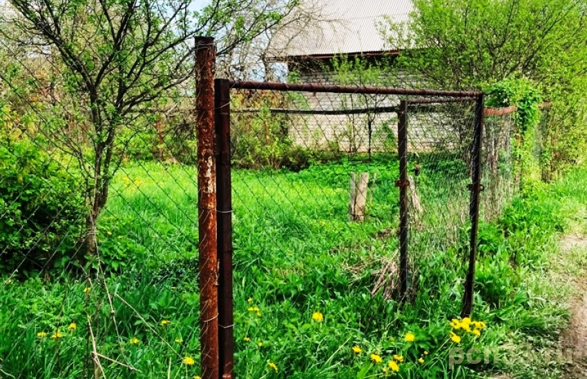 Продаю дачу у леса