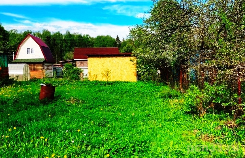 Продаю дачу у леса