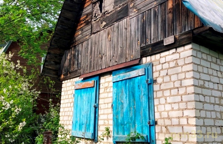 Продаю дачу у леса