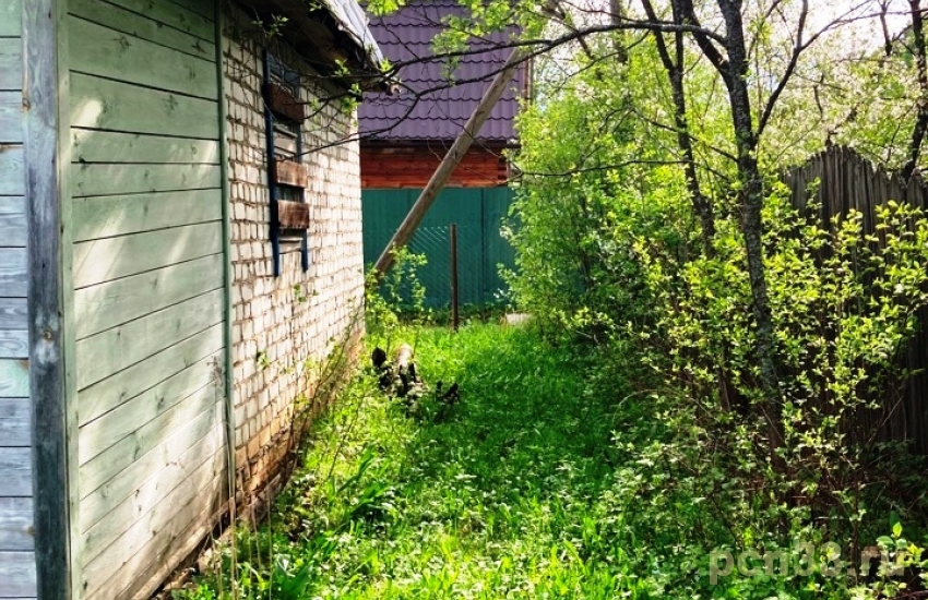 Продаю дачу у леса