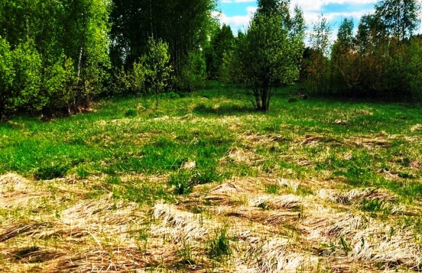 Продаю участок в городе ИЖС