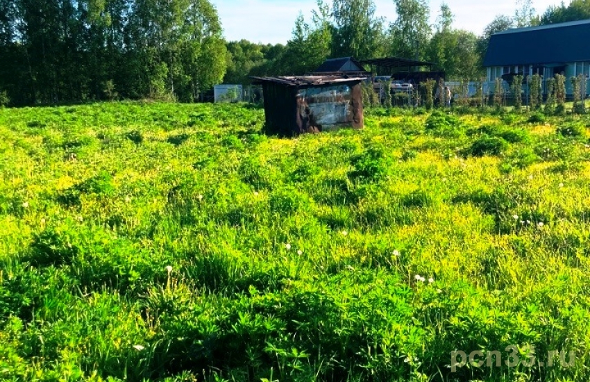 Продаю участок у водоема